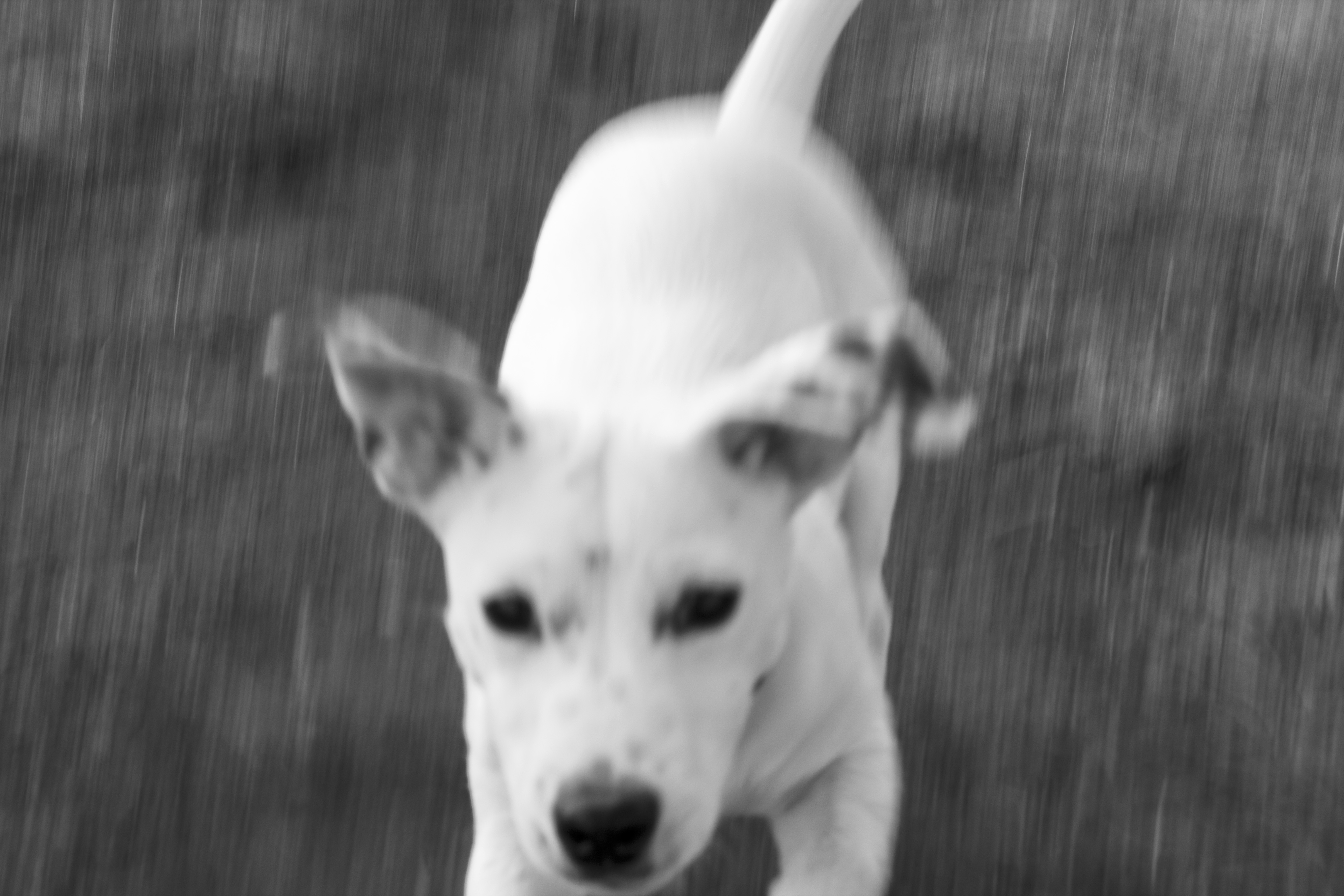 Some rights reserved, Maja Larsson