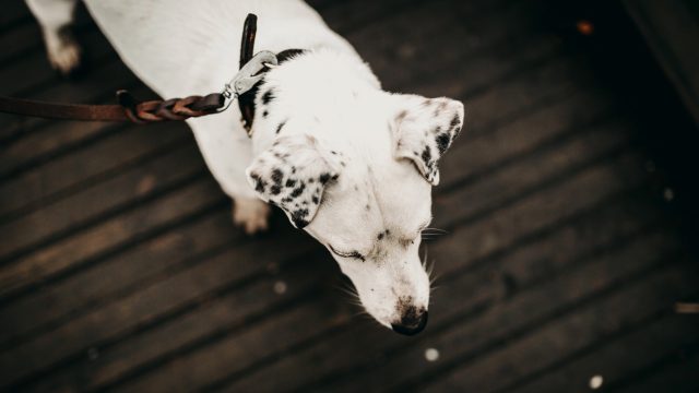 lar-dig-rita-i-arbetet-exempel-grundformer-bildverkstan-maja-larsson